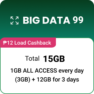 Big Data 99 w/ P12 Load Cashback